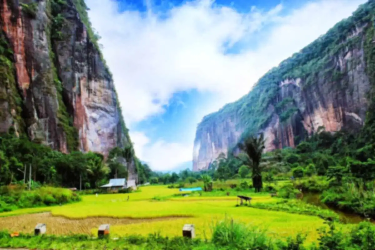 Lembah Harau Sumatera Barat, Pesona Lembah Hijau dengan Tebing Granit yang Memukau